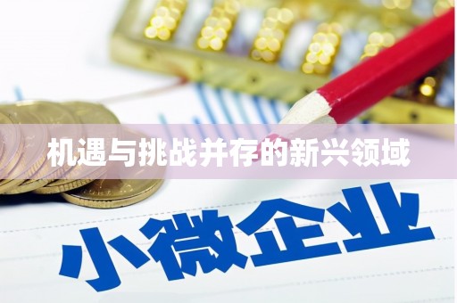 上饶机遇与挑战并存的新兴领域