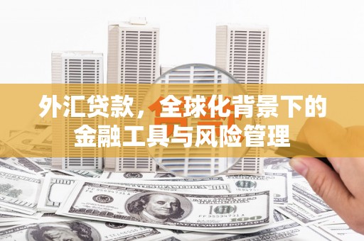 上饶外汇贷款，全球化背景下的金融工具与风险管理