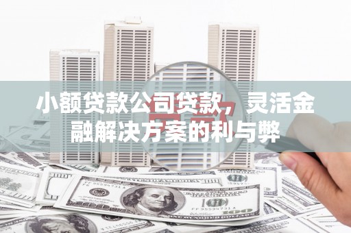 上饶小额贷款公司贷款，灵活金融解决方案的利与弊